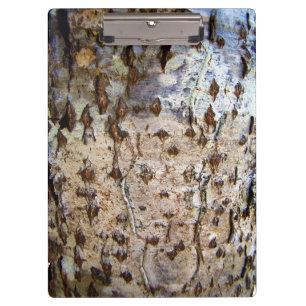 Birch Tree Bark Clipboard Klemmbrett