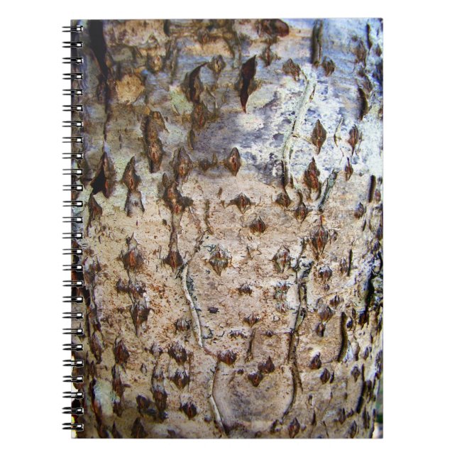 Birch Tree Bark Foto Notebook Notizblock (Vorderseite)