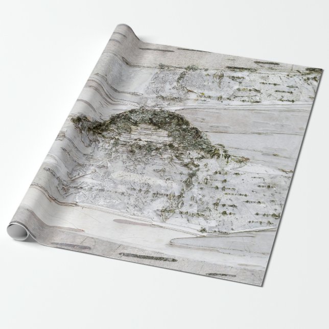 Birch Tree Bark Geschenkpapier (Ungerollt)
