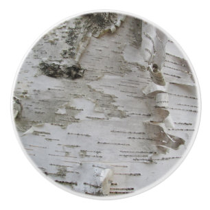 Birch Tree Bark Peeled Old Foto Keramikknauf