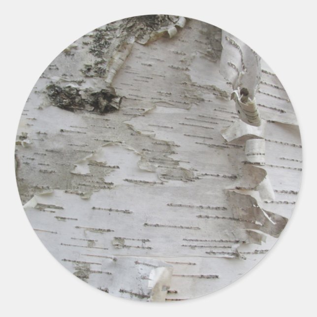 Birch Tree Bark Peeled Old Foto Runder Aufkleber (Vorderseite)