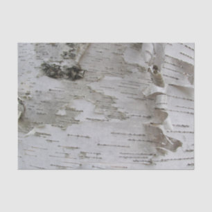 Birch Tree Bark Peeled Old Foto Seidenpapier