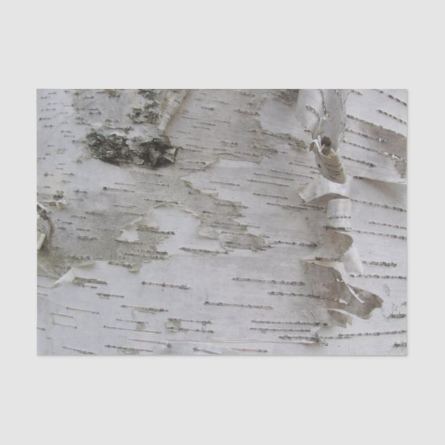 Birch Tree Bark Peeled Old Foto Seidenpapier (Vorderseite)