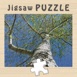 Birch Tree Crown Foto - Puzzle