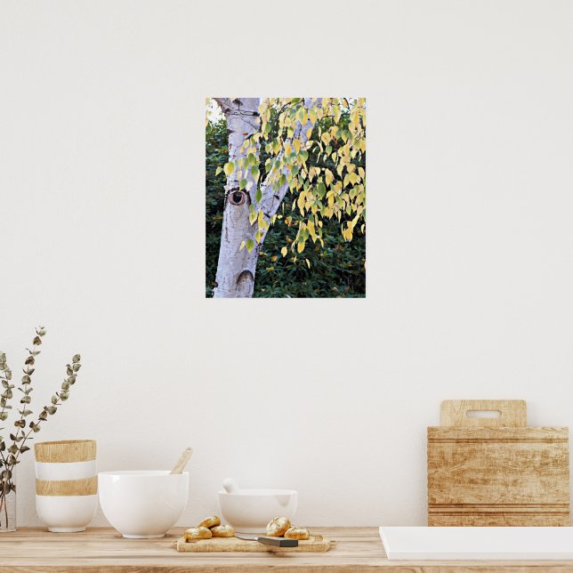 Birch Tree Face Nature Poster (Küche)
