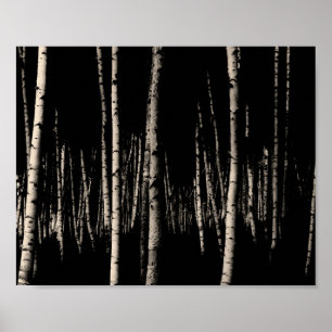 Birch Tree Forest in Sepia Poster