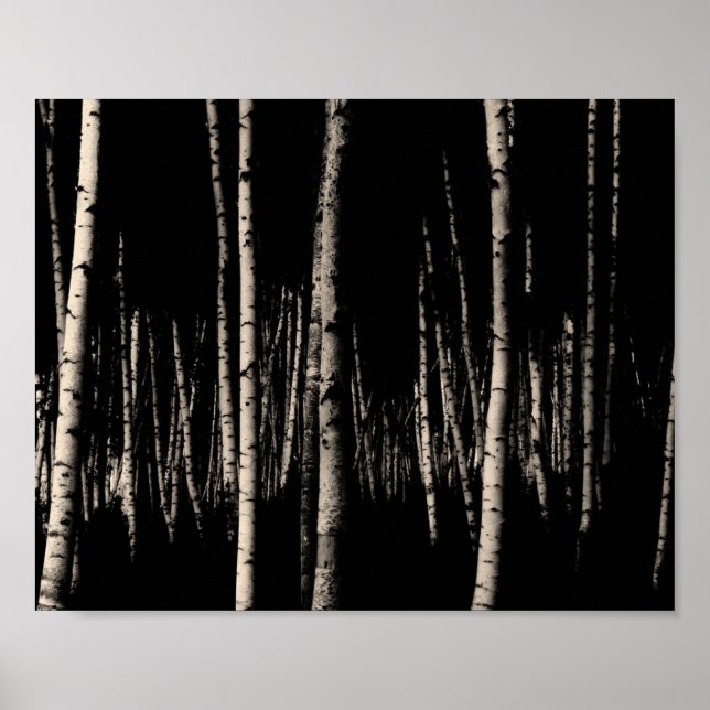 Birch Tree Forest in Sepia Poster (Vorne)