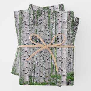 Birch Tree Forest Nature Geschenkpapier Set