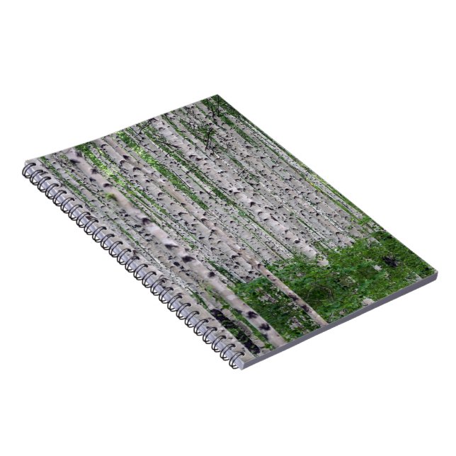 Birch Tree Forest Nature Notizblock (Rechte Seite)