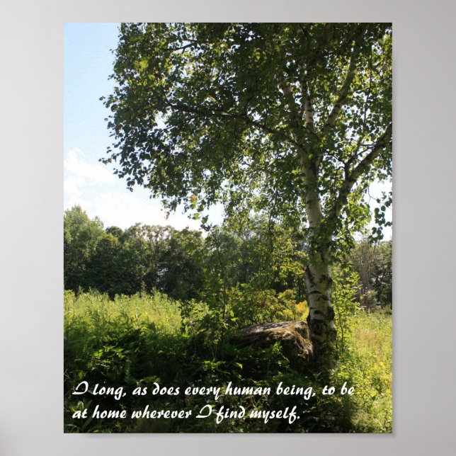 Birch Tree Inspiration Print Poster (Vorne)