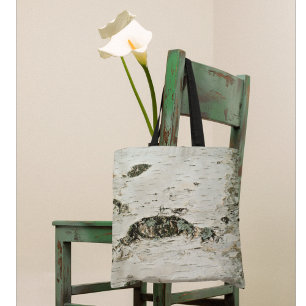 Birch Tree Trunk Nature Forest Natural