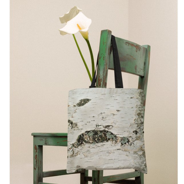 Birch Tree Trunk Nature Forest Natural (Von Creator hochgeladen)