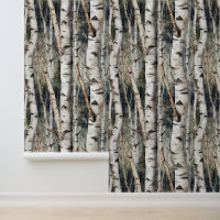 Birch Tree Trunks Forest