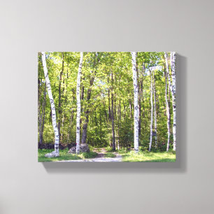 Birch Tree Woods Wrapped Canvas Leinwanddruck
