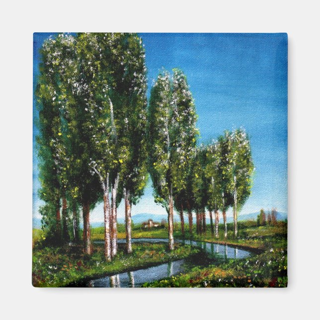 BIRCH TREES IN TUSCANY MAGNET (Vorne)