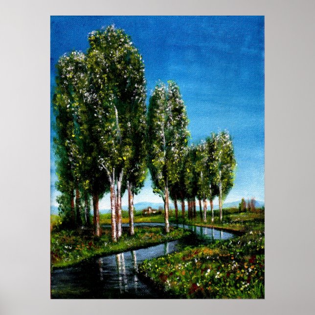 BIRCH TREES IN TUSCANY POSTER (Vorne)