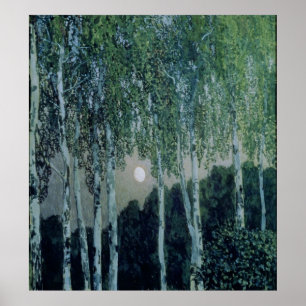 Birch Trees Poster