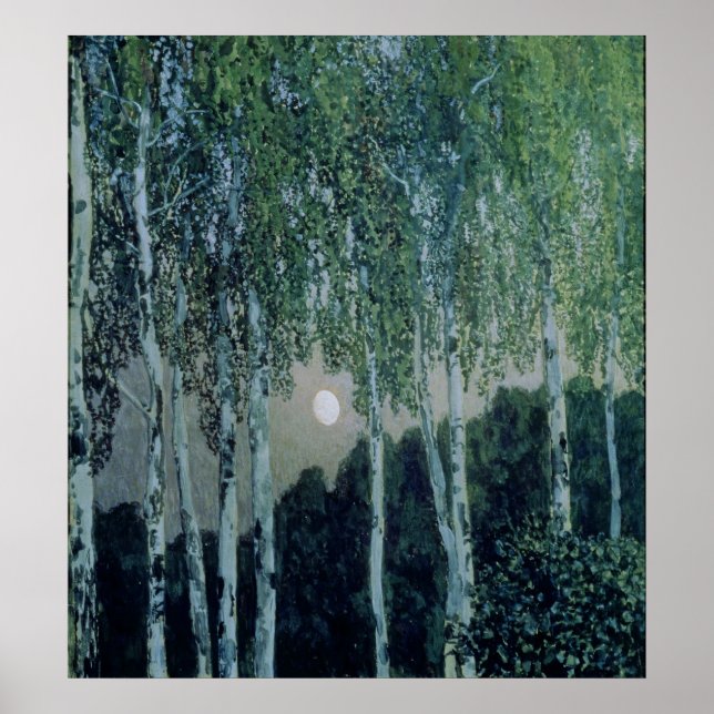 Birch Trees Poster (Vorne)