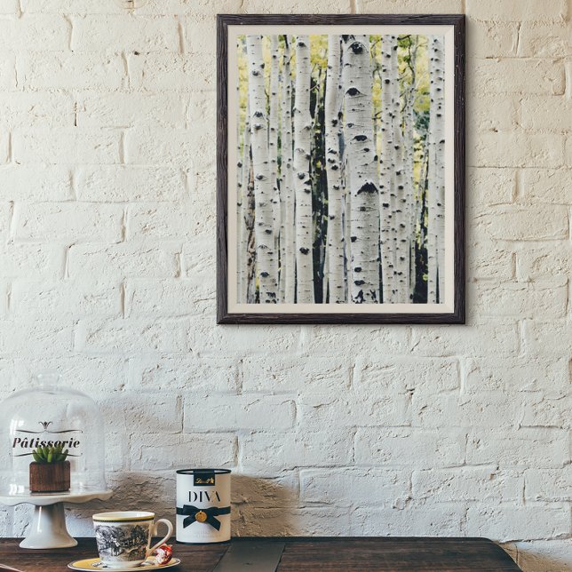 Birch Trees Rustic Cabin Poster (Von Creator hochgeladen)