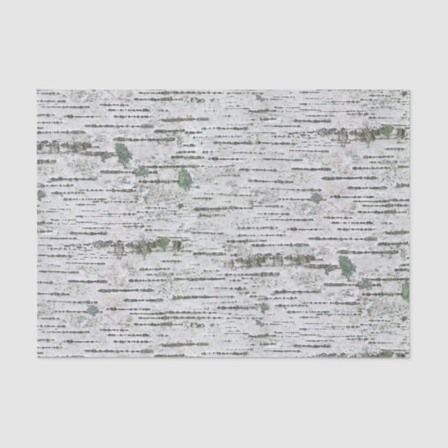 Birch Wood Texture Seidenpapier (Vorderseite)