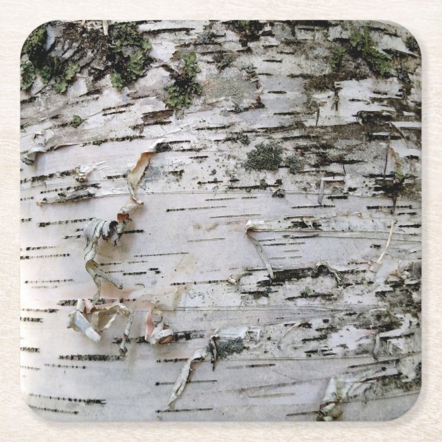 Birch Wood Untersetzer 001 (Vorderseite)