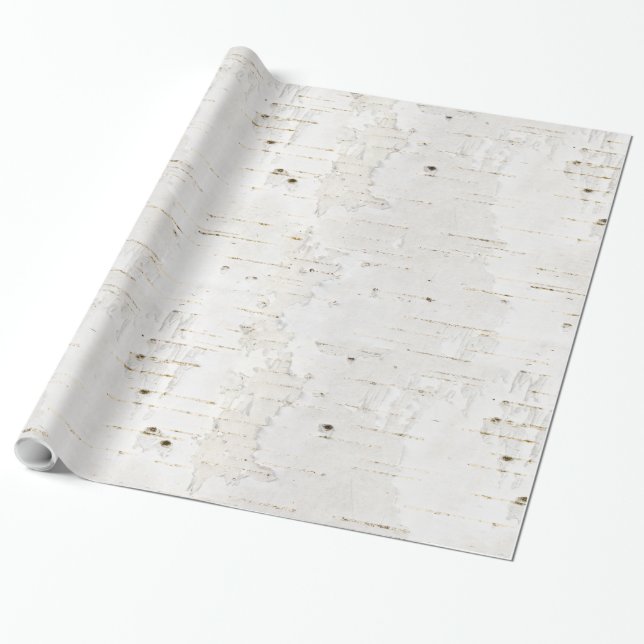 Birchbark Geschenkpapier (Ungerollt)