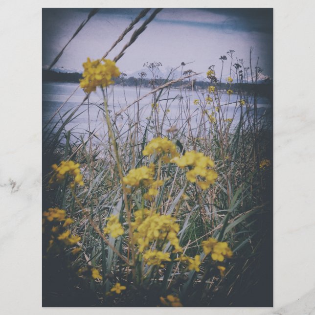 Birchbay-Blumen-Schabblonenpapier-Bogen (Vorderseite)