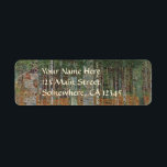Birchwald von Gustav Klimt, Vintager Jugendstil<br><div class="desc">Der Birchwald (um 1903) von Gustav Klimt ist ein Vintages Viktorianisches Kunstlandschaftsbild der Ära, das eine Naturlandschaft beherbergt. Ein Wald mit Birken und Blätter in der Herbstsaison mit braunen Blätter verstreut auf dem Boden. Über den Künstler: Gustav Klimt (1862-1918) war ein österreichischer Symbolik-Maler und einer der prominentesten Mitglieder der Wiener...</div>