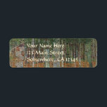 Birchwald von Gustav Klimt, Vintager Jugendstil<br><div class="desc">Der Birchwald (um 1903) von Gustav Klimt ist ein Vintages Viktorianisches Kunstlandschaftsbild der Ära, das eine Naturlandschaft beherbergt. Ein Wald mit Birken und Blätter in der Herbstsaison mit braunen Blätter verstreut auf dem Boden. Über den Künstler: Gustav Klimt (1862-1918) war ein österreichischer Symbolik-Maler und einer der prominentesten Mitglieder der Wiener...</div>