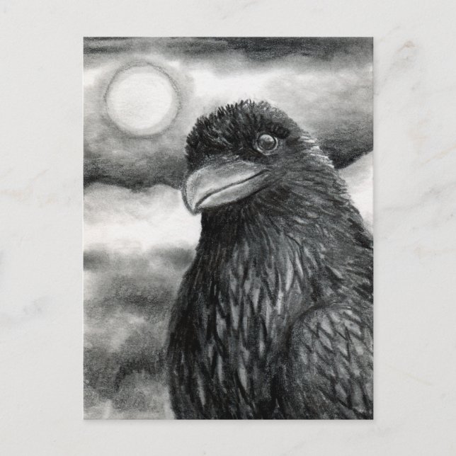 Bird 64 Crow Raven Postkarte (Vorderseite)