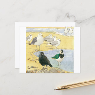 Bird Beach Wildlife Jackdaw Gull Sea Postcard Postkarte