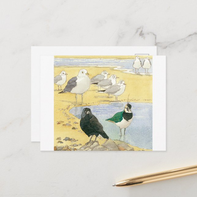 Bird Beach Wildlife Jackdaw Gull Sea Postcard Postkarte (Vorderseite/Rückseite Beispiel)
