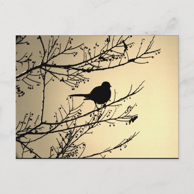 "Bird Black" JTG Art Postkarte (Vorderseite)