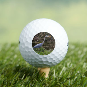Bird Blue Heron Foto Golfball