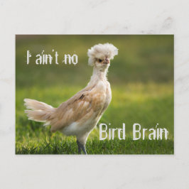 Bird Brain Funny Chicken Postkarte
