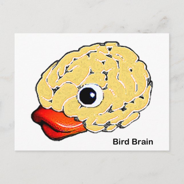 Bird Brain Postkarte (Vorderseite)