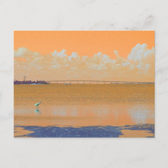 Bird Bridge Orange Blue River Florida Postkarte (Vorderseite)
