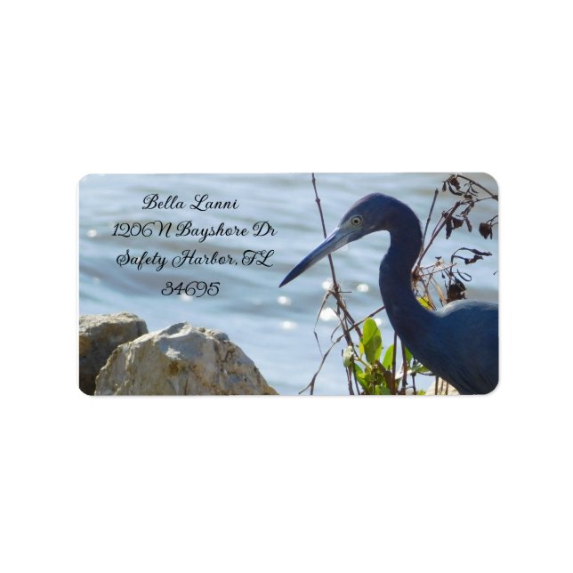Bird By the Bay Little Blue Heron Safety Harbor Adressaufkleber (Vorne)