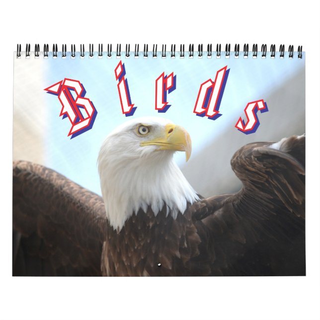 Bird Calendar Kalender (Titelbild)