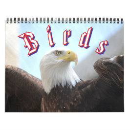 Bird Calendar Kalender