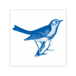BIRD DER BRANCH-RUBBER-BRIEFMARKE PERMASTEMPEL