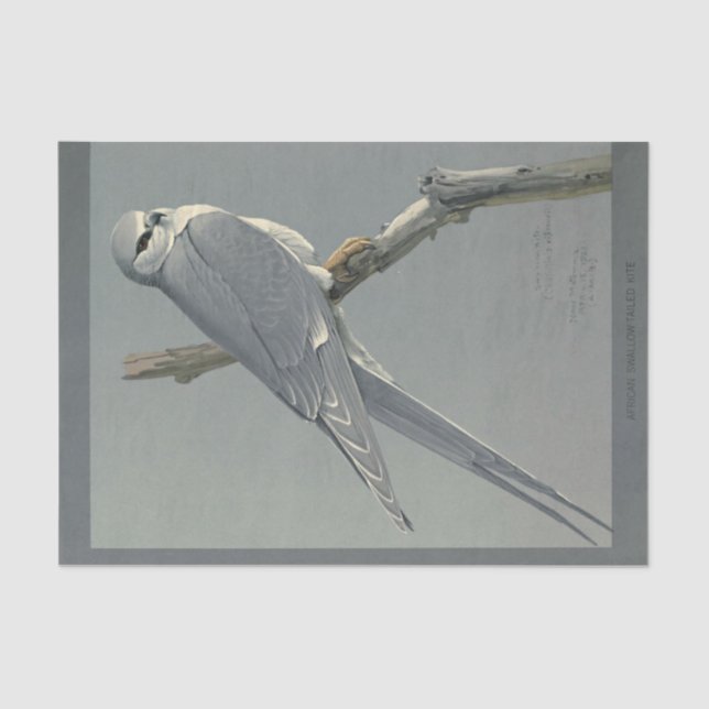Bird Ephemera Decoupage Gray Hawk Seidenpapier (Vorderseite)