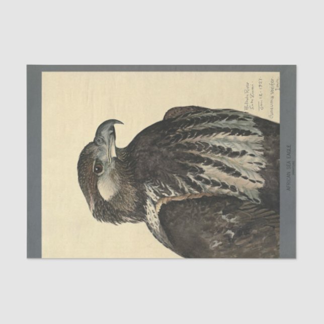Bird Ephemera Decoupage Sea Eagle Seidenpapier (Vorderseite)