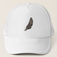 Bird Feather