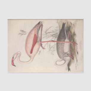 Bird Flamingo Ephemera Decoupage Seidenpapier