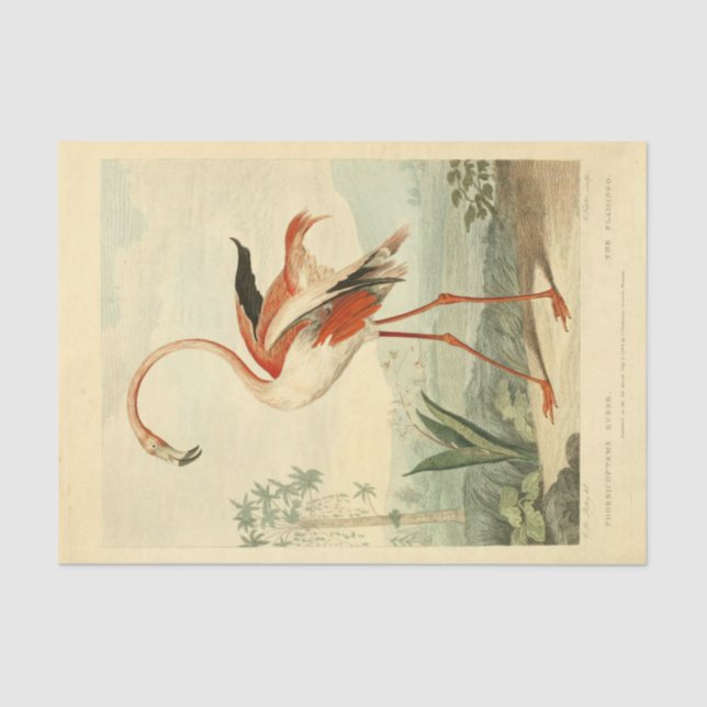 Bird Flamingo Ephemera Decoupage Seidenpapier (Vorderseite)