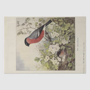 Bird Floral Ephemera Decoupage Vintag Finch Seidenpapier