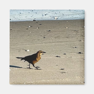 Bird Foto Magnet