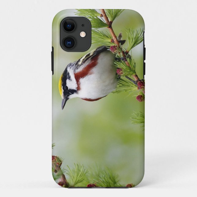 Bird grey_iphone Case-Mate iPhone hülle (Rückseite)