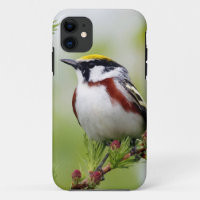 Bird grey_iphone